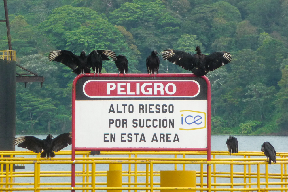 Days 6 to 8: Arenal